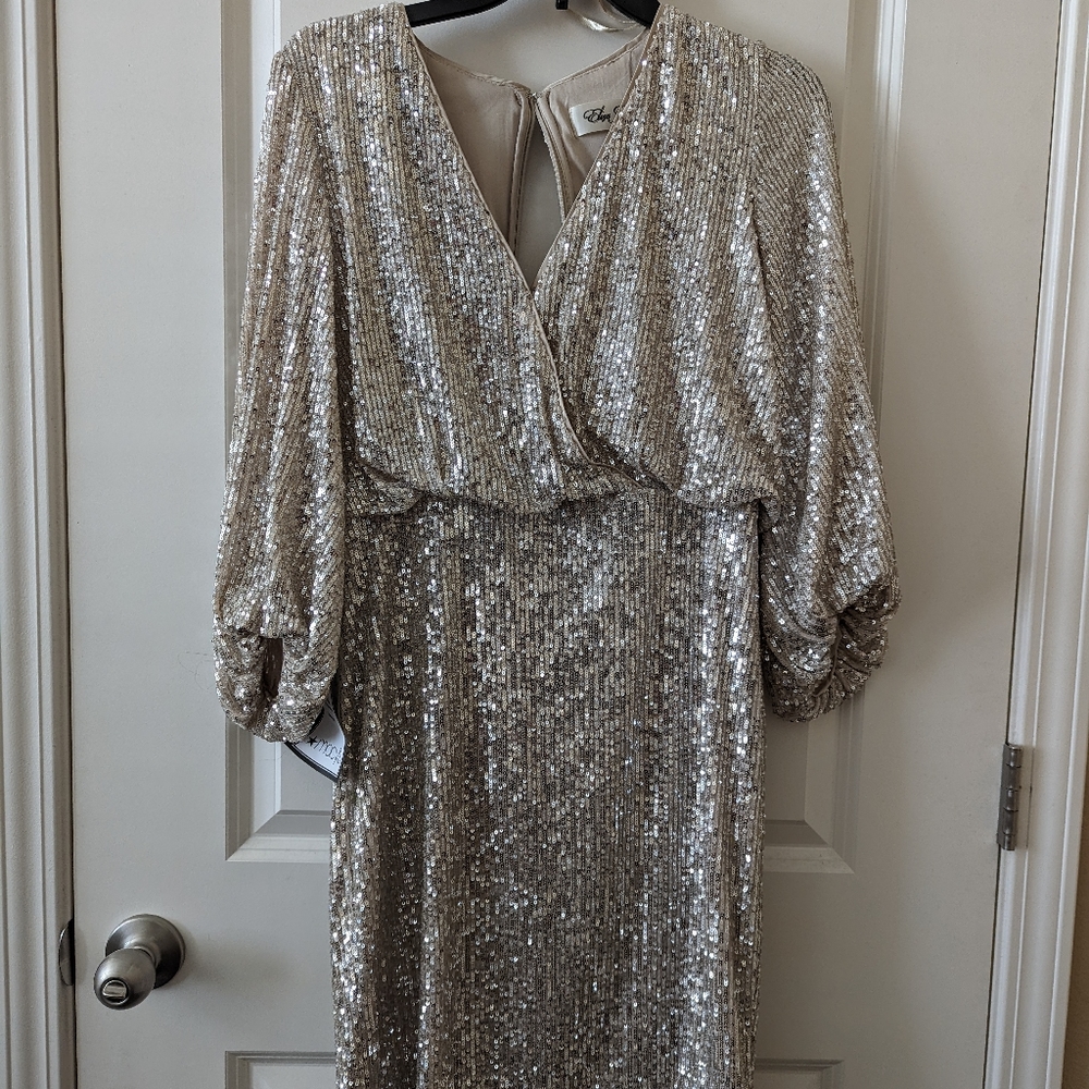 NWT Sequin Dress- gold 4
